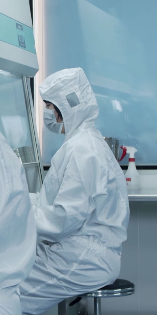 bob最新登录手机版